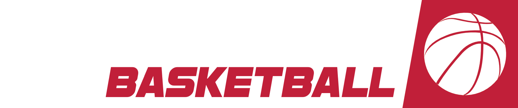 Simulator Basketball