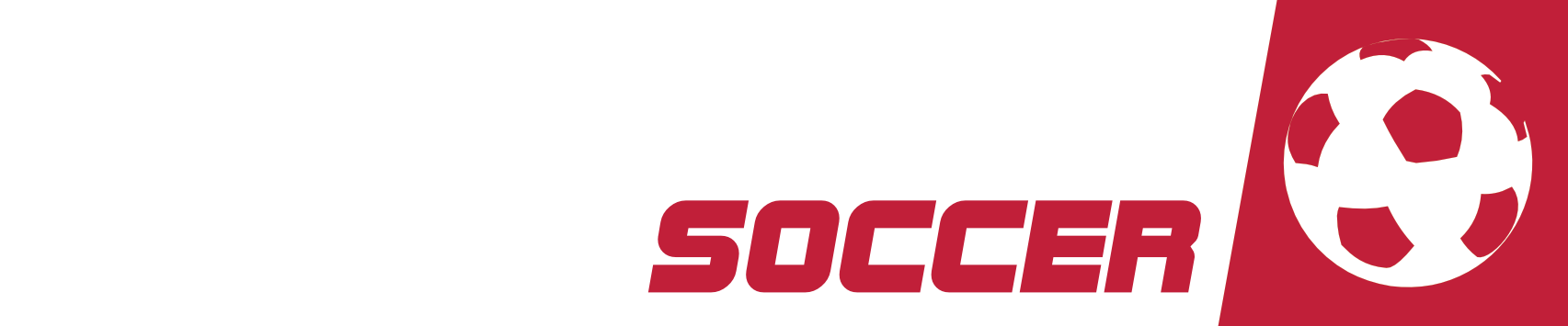 Simulator Soccer